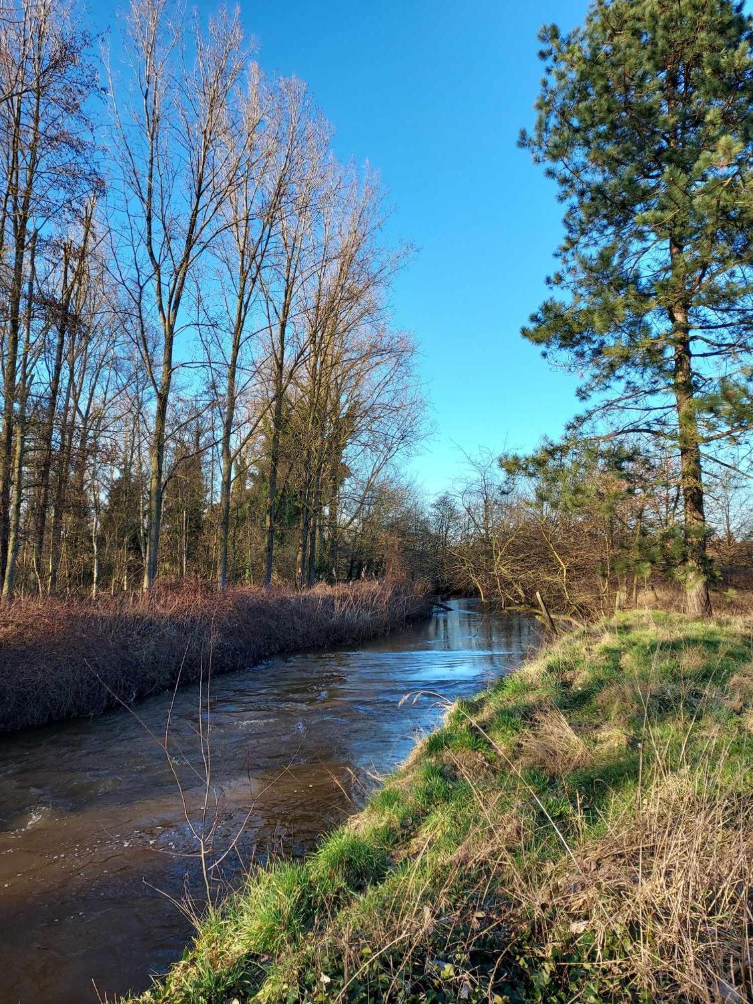 Rustig Gelegen Chalet Solvo Met Terras Aan Het Water Geel Exteriér fotografie